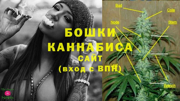 крисы Чекалин