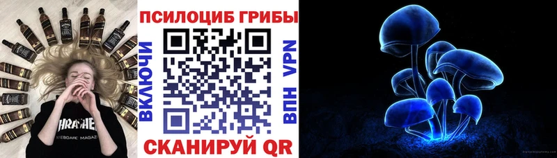 KRAKEN ТОР  Багратионовск  Галлюциногенные грибы MAGIC MUSHROOMS 
